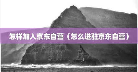 怎样加入京东自营（怎么进驻京东自营）