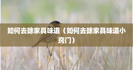 如何去除家具味道（如何去除家具味道小窍门）