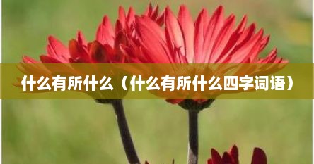 什么有所什么（什么有所什么四字词语）