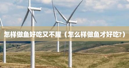 怎样做鱼好吃又不腥（怎么样做鱼才好吃?）