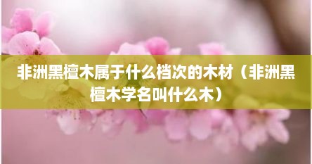 非洲黑檀木属于什么档次的木材（非洲黑檀木学名叫什么木）