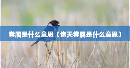眷属是什么意思（诸天眷属是什么意思）