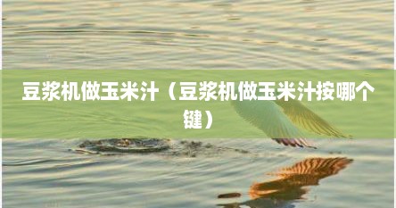 豆浆机做玉米汁（豆浆机做玉米汁按哪个键）