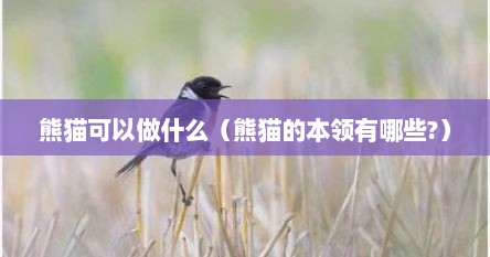 熊猫可以做什么（熊猫的本领有哪些?）