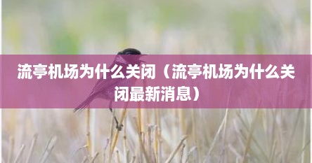 流亭机场为什么关闭（流亭机场为什么关闭最新消息）