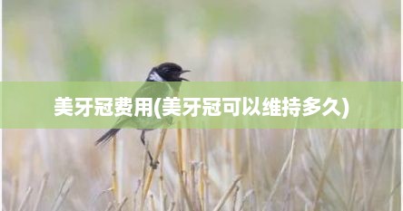 美牙冠费用(美牙冠可以维持多久)