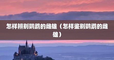 怎样辨别鹦鹉的雌雄（怎样鉴别鹦鹉的雌雄）