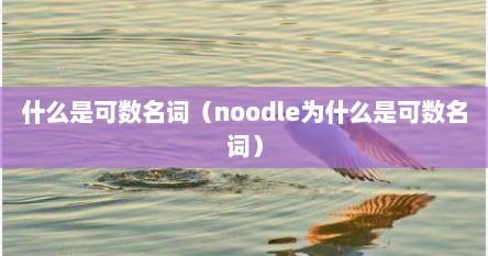 什么是可数名词（noodle为什么是可数名词）