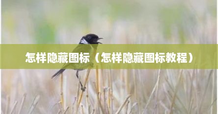 怎样隐藏图标（怎样隐藏图标教程）