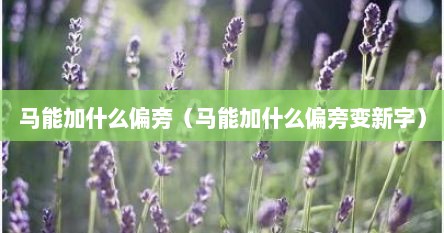 马能加什么偏旁（马能加什么偏旁变新字）