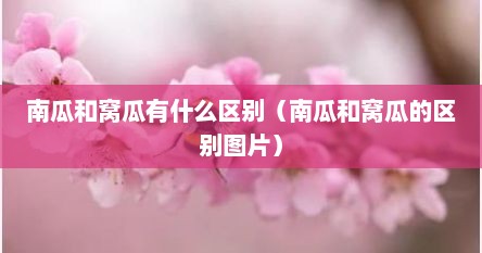 南瓜和窝瓜有什么区别（南瓜和窝瓜的区别图片）