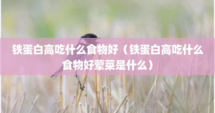 铁蛋白高吃什么食物好（铁蛋白高吃什么食物好荤菜是什么）