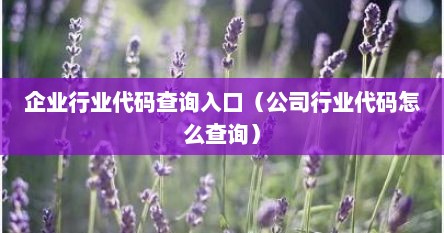 企业行业代码查询入口（公司行业代码怎么查询）