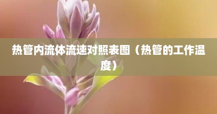 热管内流体流速对照表图（热管的工作温度）