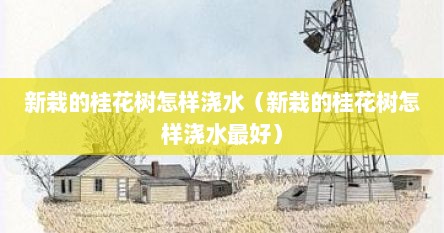 新栽的桂花树怎样浇水（新栽的桂花树怎样浇水最好）