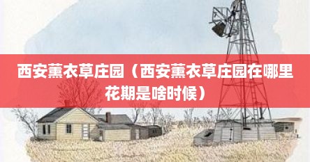 西安薰衣草庄园（西安薰衣草庄园在哪里花期是啥时候）