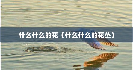 什么什么的花（什么什么的花丛）