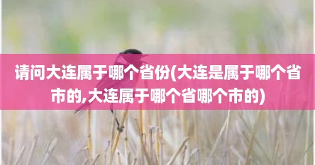 请问大连属于哪个省份(大连是属于哪个省市的,大连属于哪个省哪个市的)