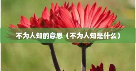 不为人知读音是什么（不为人知的意思和含义）