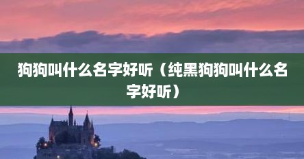 狗狗叫什么名字好听（纯黑狗狗叫什么名字好听）