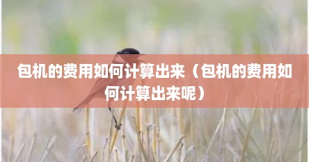 包机的费用如何计算出来(包机的费用如何计算出来呢)