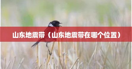山东地震带（山东地震带在哪个位置）