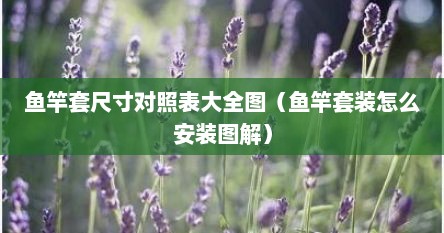 鱼竿套尺寸对照表大全图（鱼竿套装怎么安装图解）