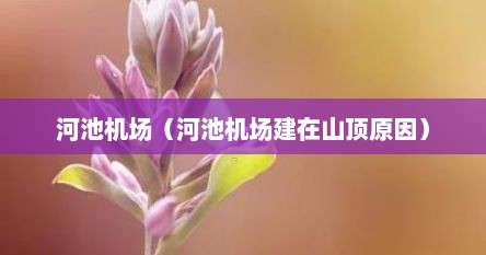 河池机场（河池机场建在山顶原因）
