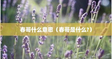 春哥什么意思（春哥是什么?）