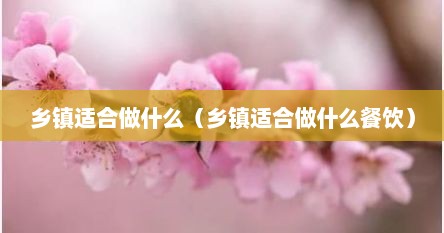 乡镇适合做什么（乡镇适合做什么餐饮）
