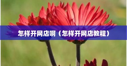 怎样开网店啊（怎样开网店教程）