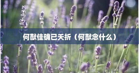 何猷佳确已夭折（何猷念什么）