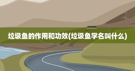 垃圾鱼的作用和功效(垃圾鱼学名叫什么)