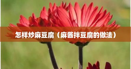 怎样炒麻豆腐（麻酱拌豆腐的做法）