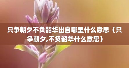 只争朝夕不负韶华出自哪里什么意思(只争朝夕,不负韶华什么意思)