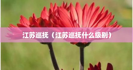 江苏巡抚（江苏巡抚什么级别）