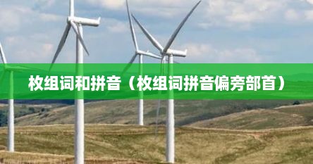 枚组词和拼音（枚组词拼音偏旁部首）