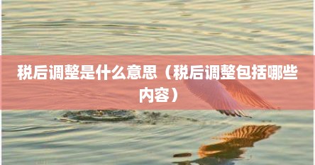 税后调整是什么意思（税后调整包括哪些内容）