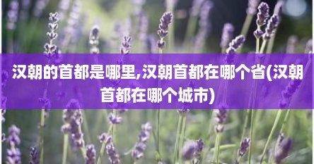 汉朝的首都是哪里,汉朝首都在哪个省(汉朝首都在哪个城市)