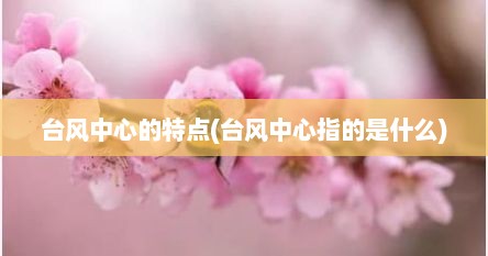台风中心的特点(台风中心指的是什么)
