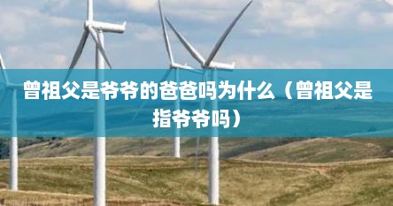 曾祖父是爷爷的爸爸吗为什么（曾祖父是指爷爷吗）