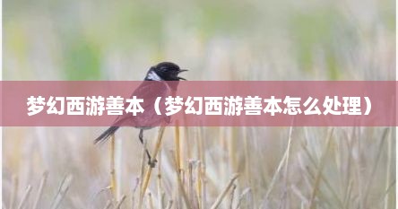梦幻西游善本（梦幻西游善本怎么处理）
