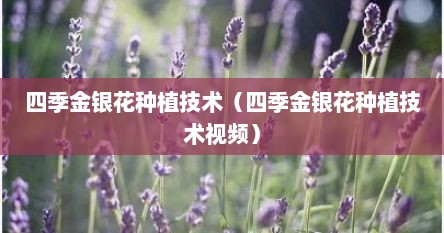 四季金银花种植技术（四季金银花种植技术视频）