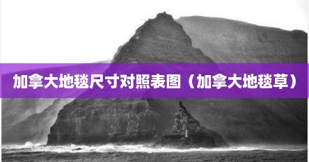 加拿大地毯尺寸对照表图（加拿大地毯草）