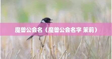 魔兽公会名字带神字（魔兽公会名字英文）