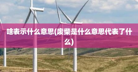 啥表示什么意思(废柴是什么意思代表了什么)