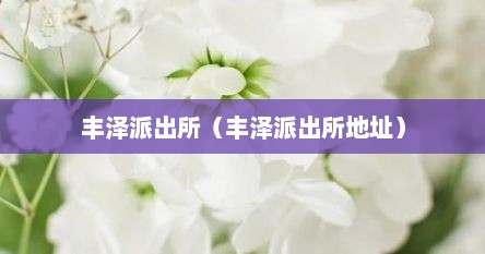 丰泽派出所（丰泽派出所地址）