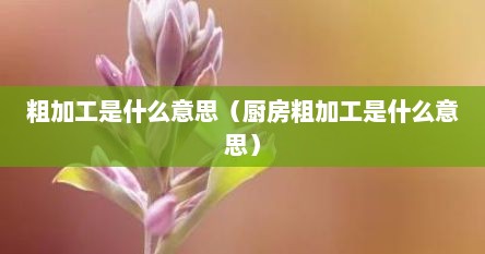 粗加工是什么意思（厨房粗加工是什么意思）
