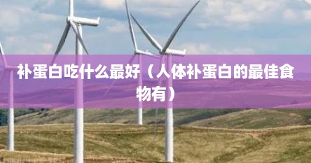 补蛋白吃什么最好（人体补蛋白的最佳食物有）