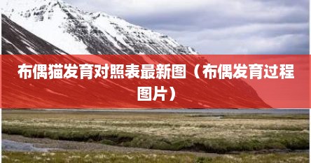 布偶猫发育对照表最新图（布偶发育过程图片）